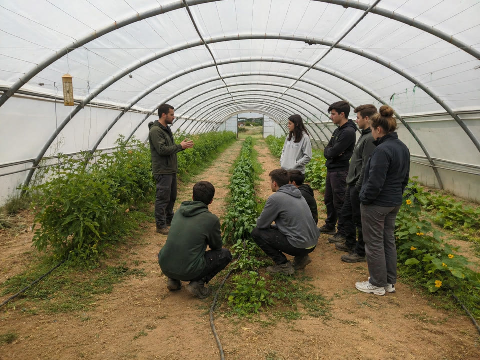 Invernadero del centro con cultivos en producción; alumnos realizando tareas de siembra y cuidado.